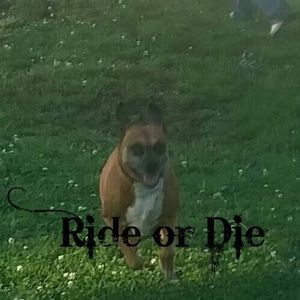 Meet your Posher, Ricky